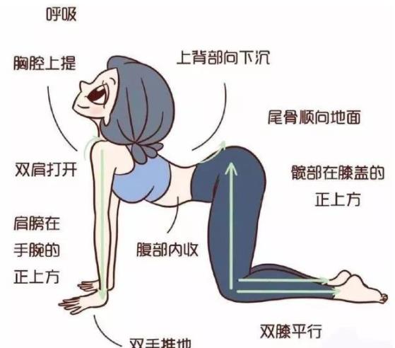 床上拉筋8個(gè)動(dòng)作，床上拉筋最有效的方法